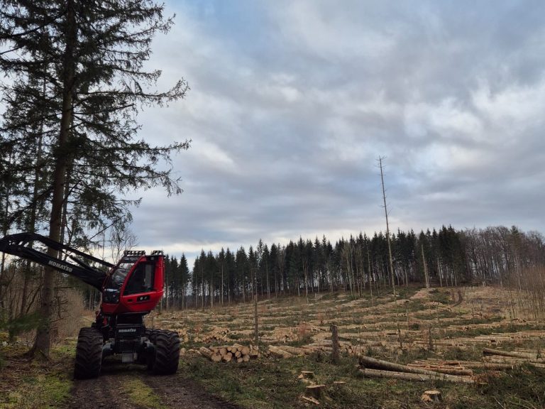 Komatsu Harvester links, fahrend auf einem Waldweg - Forstbetrieb Simon Böschet