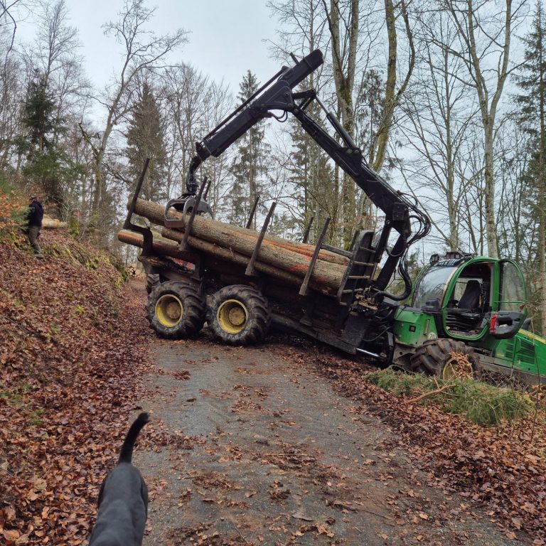 Steilhangarbeiten mit einem Rückezug und einem Rottweiler links- Forstbetrieb Simon Böschet