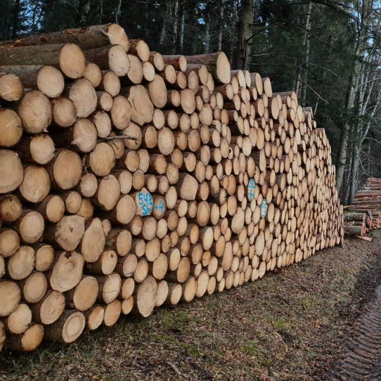 Großer Holzpolter linksseitig - Forstbetrieb Simon Böschet